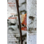 This Moment of Retreat - Paperback