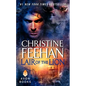 Lair of the Lion - Paperback