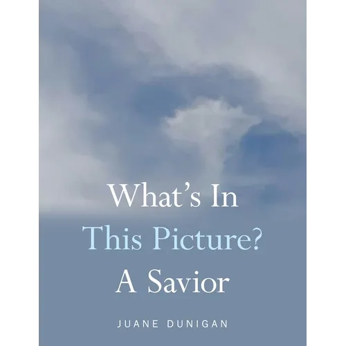 What's in This Picture? a Savior - Paperback
