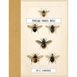 Vintage Prints: Bees - Paperback