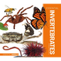 Essential Invertebrates - Library Binding