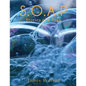 S.O.A.P (Stories of a Poet) - Paperback
