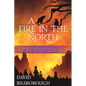 A Fire in the North: Book 2 of the Annals of Lindormyn - Paperback