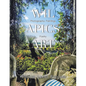 Wil Apics Art: Photography, Paintings, Poetry - Paperback