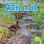 All about Wetlands - Paperback