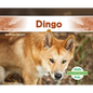 Dingo - Library Binding
