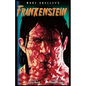 Frankenstein-The Graphic Novel - Paperback
