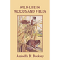 Wild Life in Woods and Fields (Yesterday's Classics) - Paperback