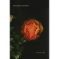 Incryptions - Paperback