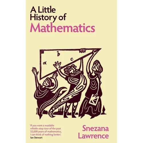 A Little History of Mathematics - Hardcover