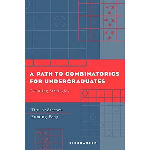 A Path to Combinatorics for Undergraduates: Counting Strategies - Paperback