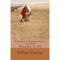Caesar's Commentaries in Latin: Books I-IV - Paperback