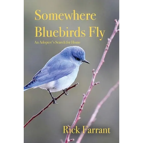 Somewhere Bluebirds Fly: An Adoptee's Search for Home - Paperback