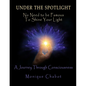 Under the Spotlight: No Need to be Famous to Shine Your Light - Paperback