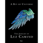 A Bit of Universe: The Jewelry of Luz Camino - Hardcover