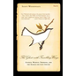 The Ghost with Trembling Wings: Science, Wishful Thinking and the Search for Lost Species - Paperback