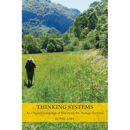 Thinking Systems - Paperback