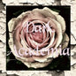 Dark Academia - Paperback