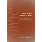 Peter in the Gospel of John: The Making of an Authentic Disciple - Paperback