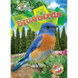 Bluebirds - Library Binding