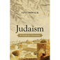 Judaism: A Guide for Christians - Paperback