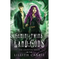 Gemini Twins in the Land of the Gods - Paperback