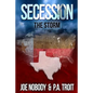 Secession: The Storm - Paperback