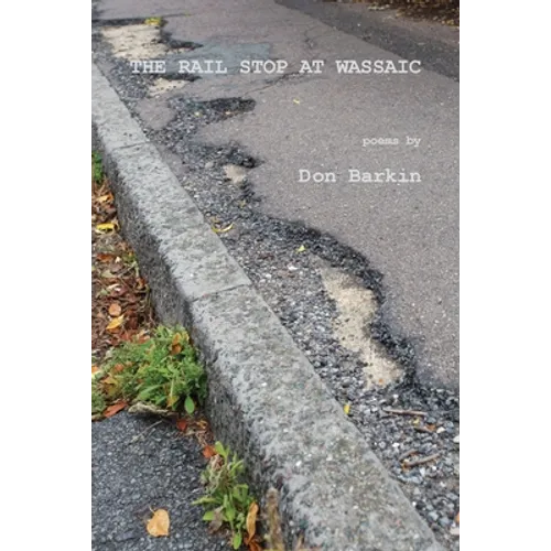 The Rail Stop at Wassaic - Paperback