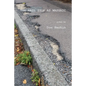 The Rail Stop at Wassaic - Paperback
