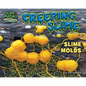 Creeping Slime: Slime Molds - Library Binding