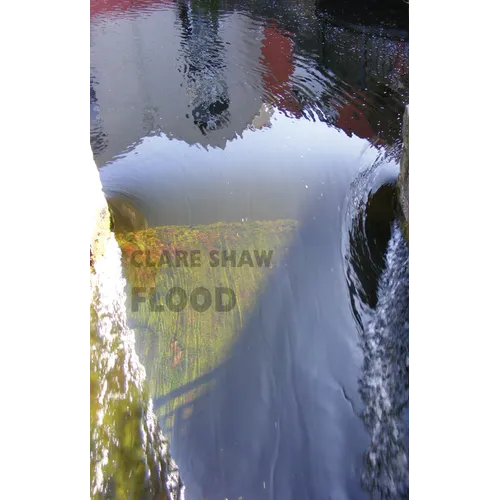 Flood - Paperback