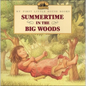 Summertime in the Big Woods - Hardcover