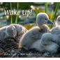 Wake Up! - Hardcover