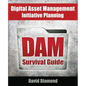DAM Survival Guide: Digital Asset Management Initiative Planning - Paperback