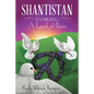 Shantistan: Enabling a Land of Peace - Paperback
