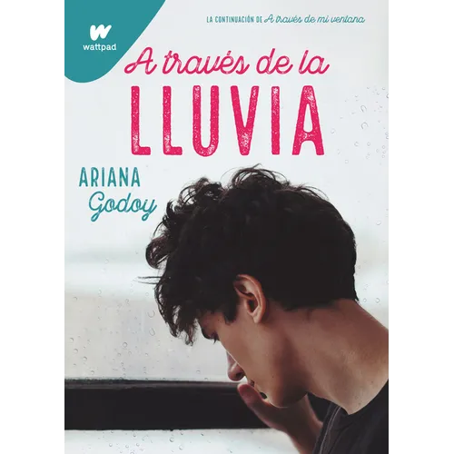 A Través de la Lluvia / Through the Rain - Paperback