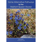 Some Alternative Pathways for the Hesitant Queen Rearer - Paperback