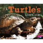 A Turtle's Life Cycle - Paperback