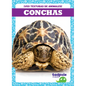 Conchas (Shells) - Paperback