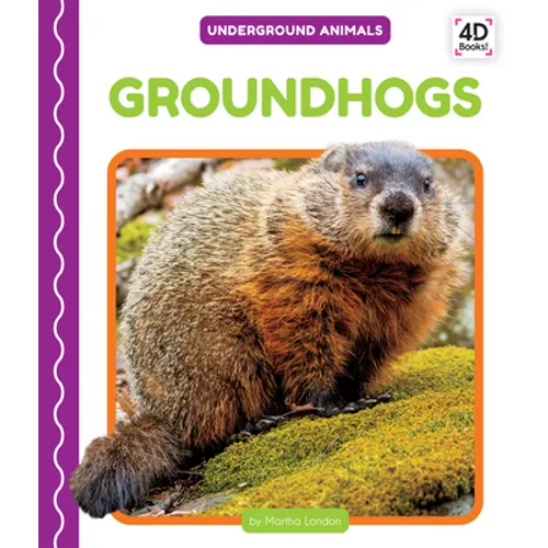 Groundhogs - Library Binding