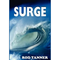 Surge - Hardcover