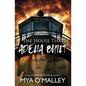 The House that Adelia Built - Paperback