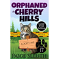 Orphaned in Cherry Hills - Paperback