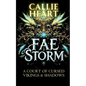 Fae Storm: A Court of Cursed Vikings & Shadows - Paperback