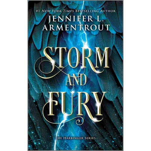 Storm and Fury - Paperback