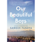 Our Beautiful Boys - Hardcover