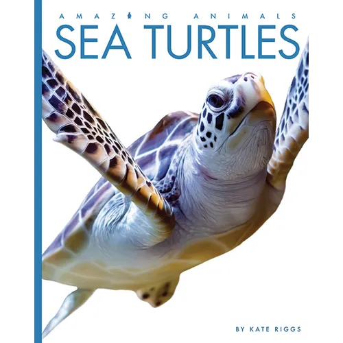 Sea Turtles - Library Binding