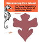Discovering Fire Island: The Young Naturalist's Guide to the World of the Barrier Beach - Paperback