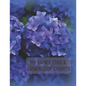 My Family Tree & Genealogy Charts - Paperback