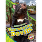 Tasmanian Devils - Library Binding